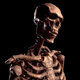 Imagen para el artículo titulado Un equipo de antropólogos reconstruye el rostro de los esqueletos de Skyrim, y es perfecto